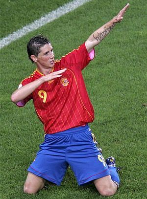 fernando-torres.jpg